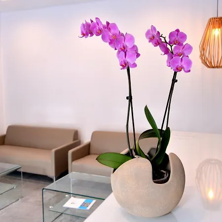 Island Dreams Rooms & Suites 3* Rhodes City