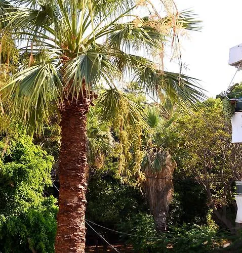 Island Dreams Rooms & Suites Rhodes City